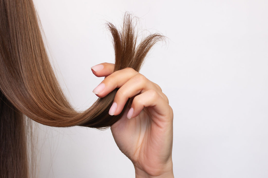 Wie zuverlässig sind Haaranalysen? Fakten, Fehlerquellen und was wirklich nachweisbar ist