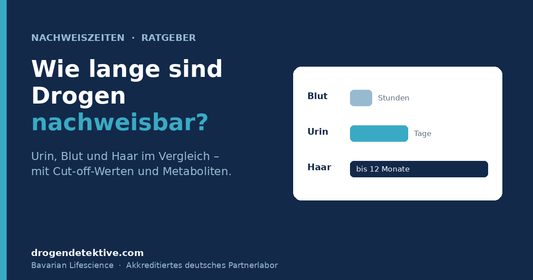 Vergleich der Nachweiszeiten von Drogen in Blut, Urin und Haar – Stunden, Tage und bis zu zwölf Monate