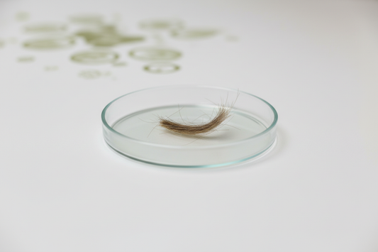 Haaranalyse Drogentest – Ablauf, Nachweiszeit & Vorteile