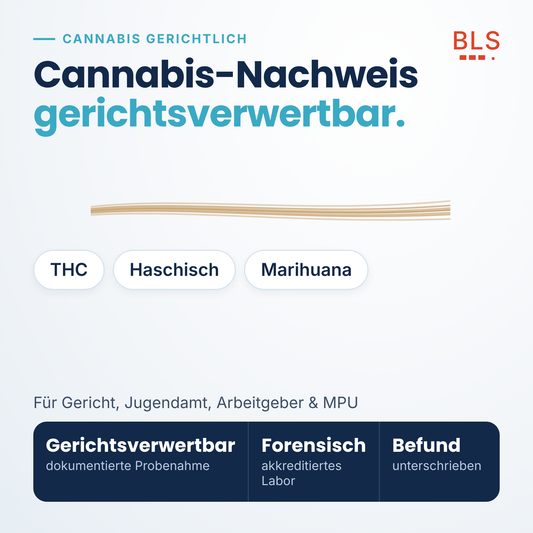Cannabis Haaranalyse gerichtsverwertbar – THC-Nachweis für Gericht, Jugendamt und MPU
