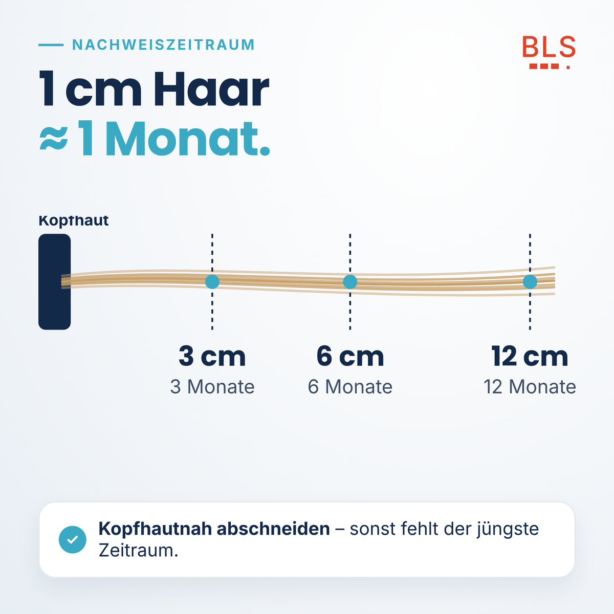 Nachweiszeitraum Haaranalyse: 1 cm Haar entspricht etwa 1 Monat