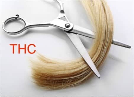Haaranalyse THC gerichtlich